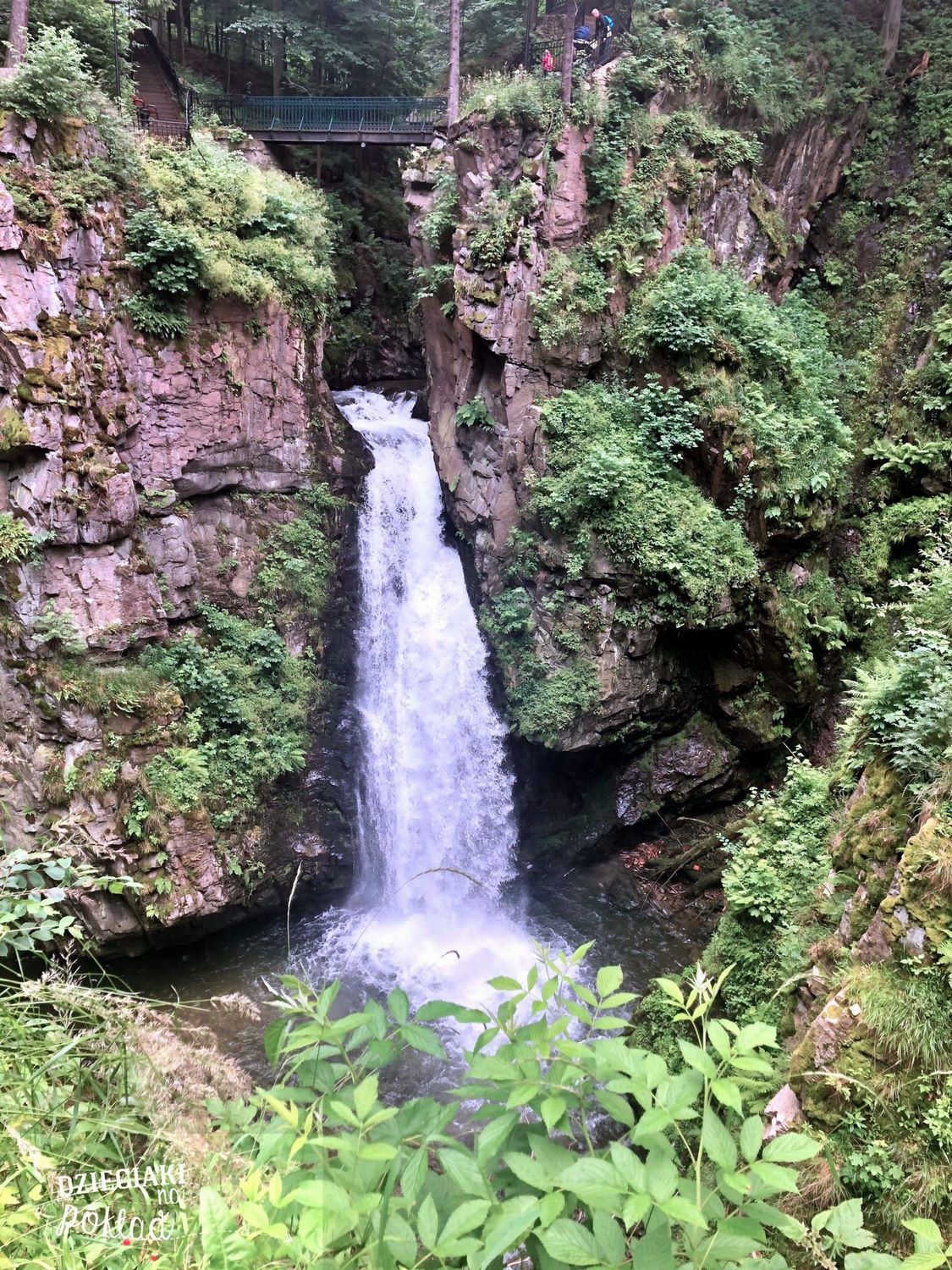 Międzygórze - wodospad Wilczki