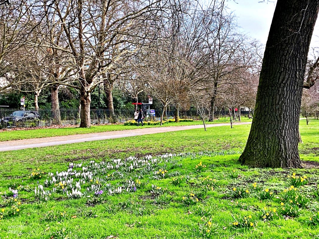 Londyn idealny na city break - Hyde Park
