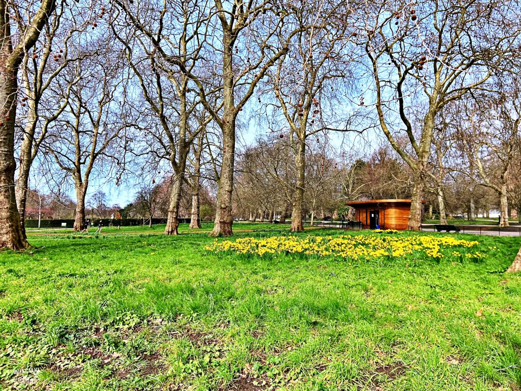 Londyn idealny na city break - Hyde Park