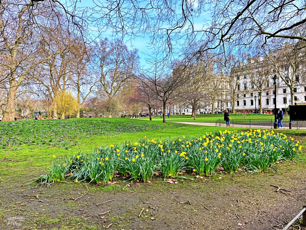 Londyn idealny na city break - st. Jame's Park