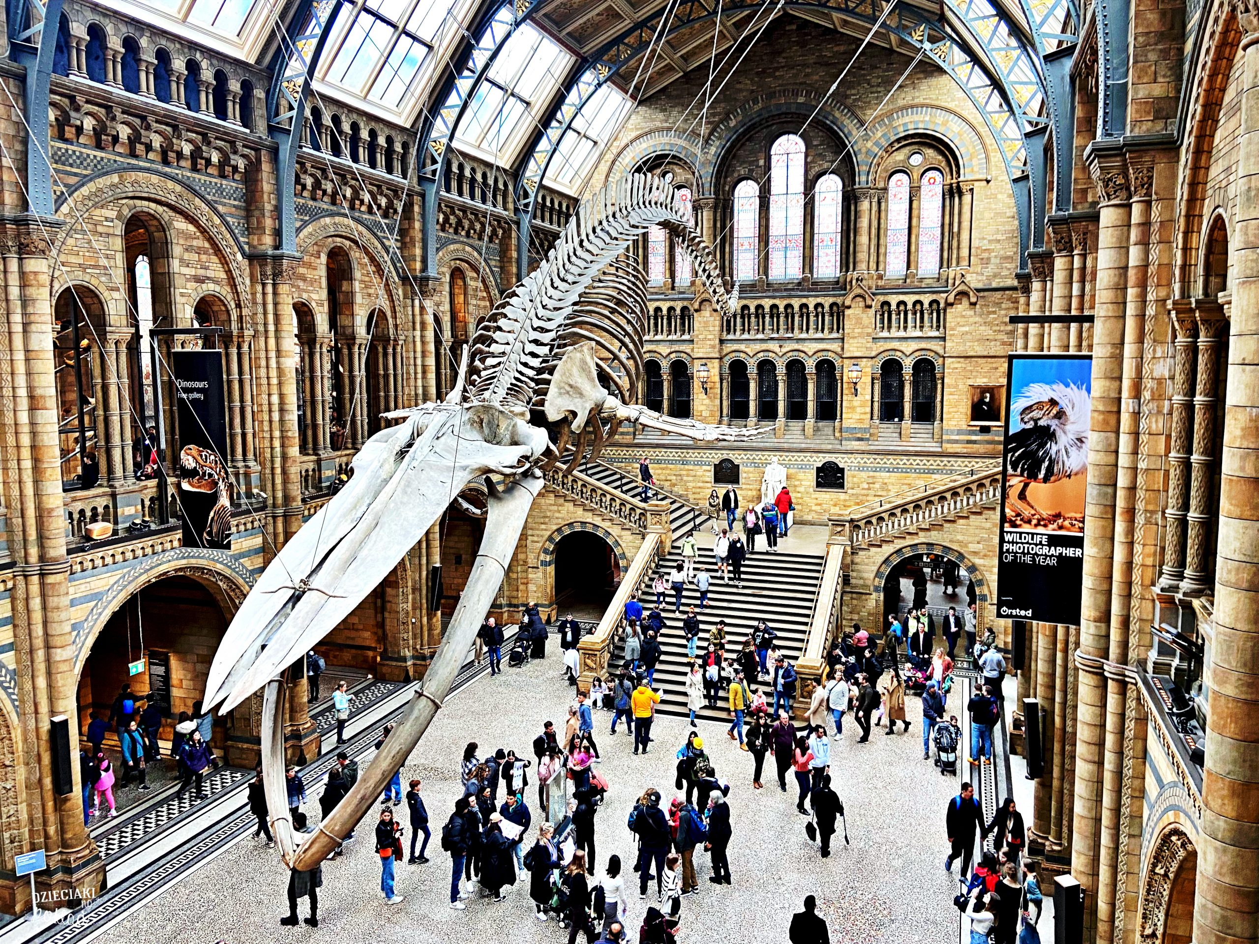 Londyn - Muzeum Historii Naturalnej