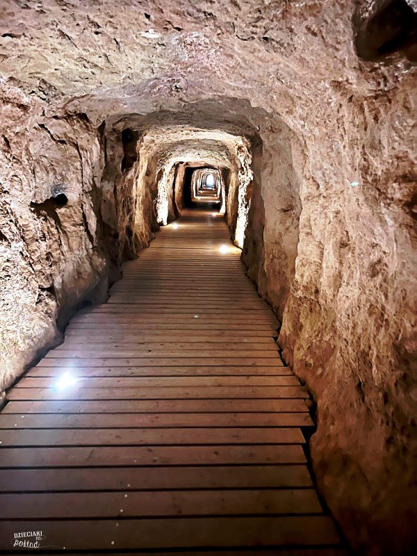 Caminito del Rey z dziećmi