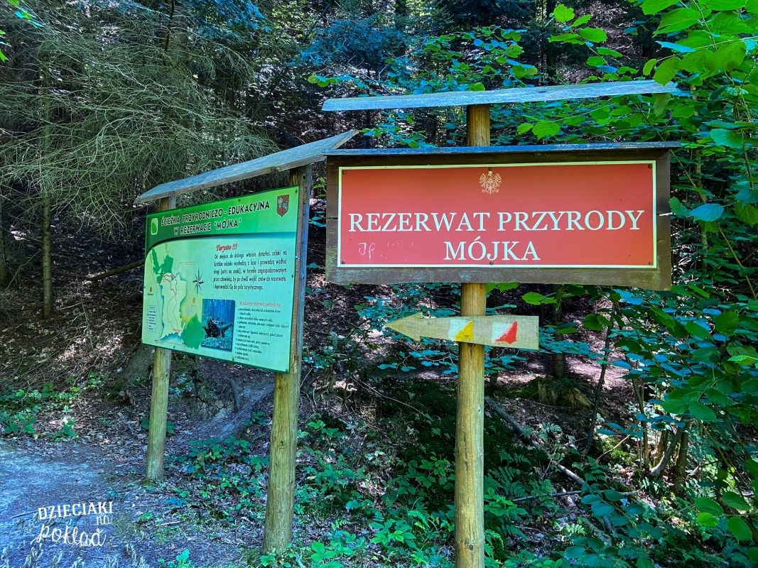 Pogórze Dynowskie