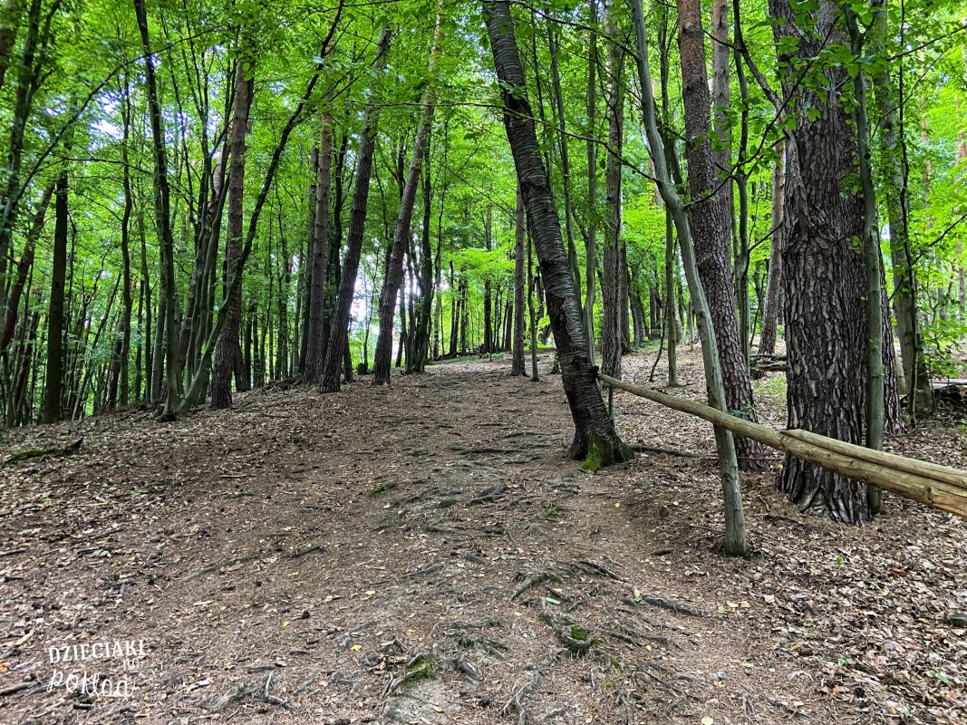 Pogórze Dynowskie