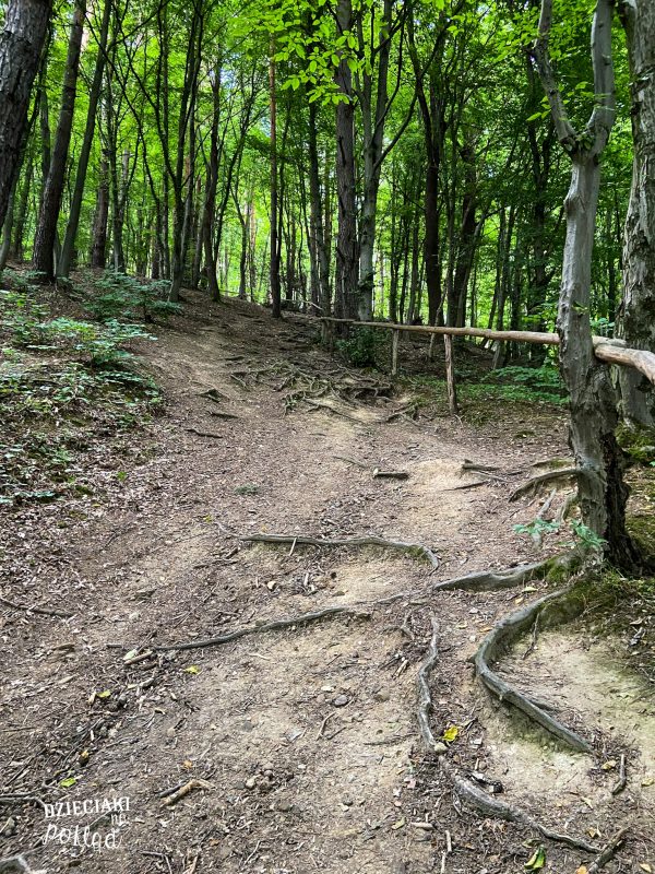 Pogórze Dynowskie