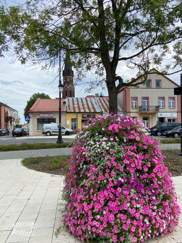 Stalowa Wola Rozwadów