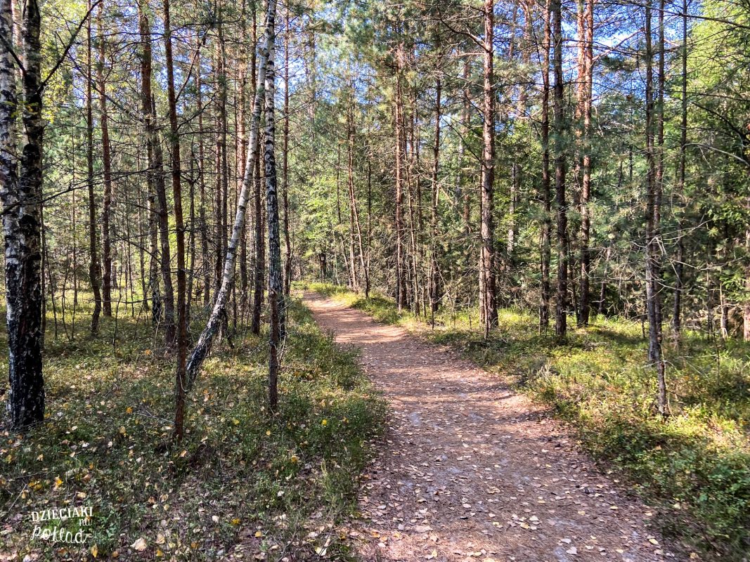 Wodospad na rzece Jeleń