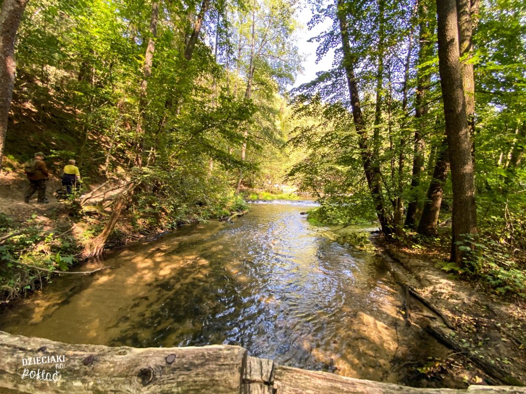 Wodospad na rzece Jeleń